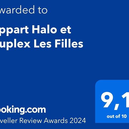 Appart Halo Et Duplex Les Filles ディナン エクステリア 写真